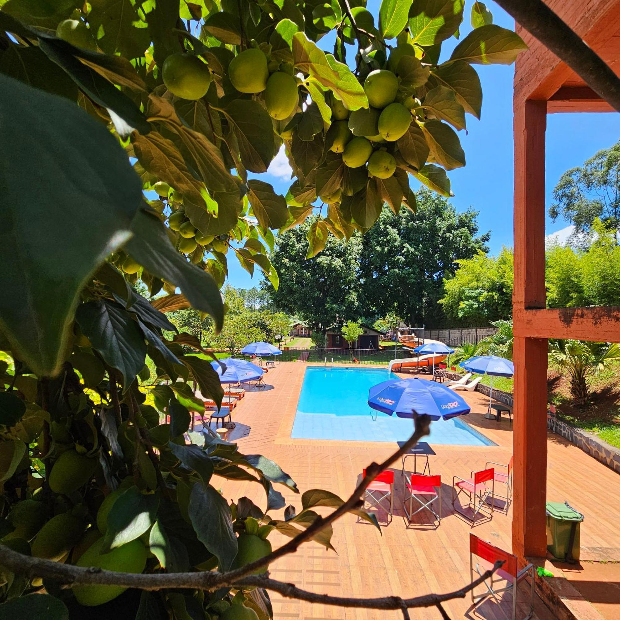 Cabanas El Refugio Del Mensu Puerto Iguazú Extérieur photo